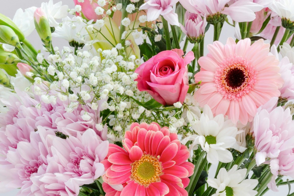 Герберы: весенние сочетания